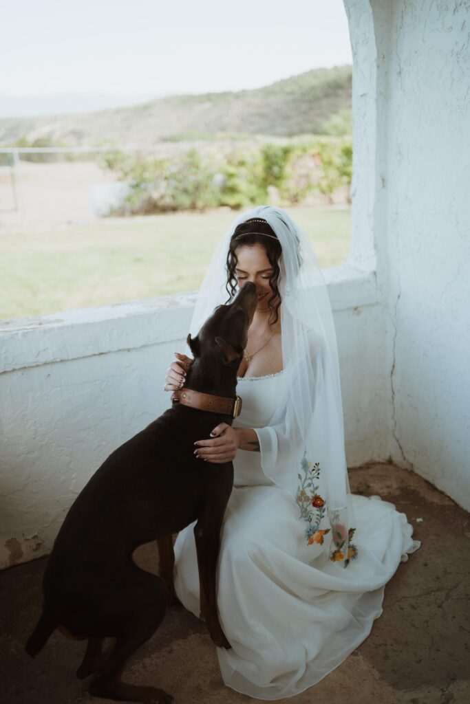 How to elope with a dog in Colorado. Planning you adventure elopement in Colorado with your dogs. The best locations, how to train your dog, and plan your day. 