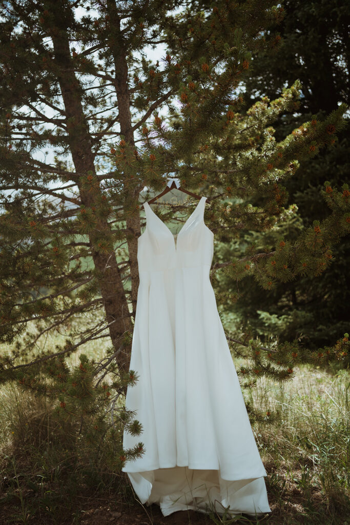 Bride's wedding dress is hanging in a pine tree. It is all white with a hanger that has a bow on it. It's slightly blowing in the wind and everything behind it is green. 