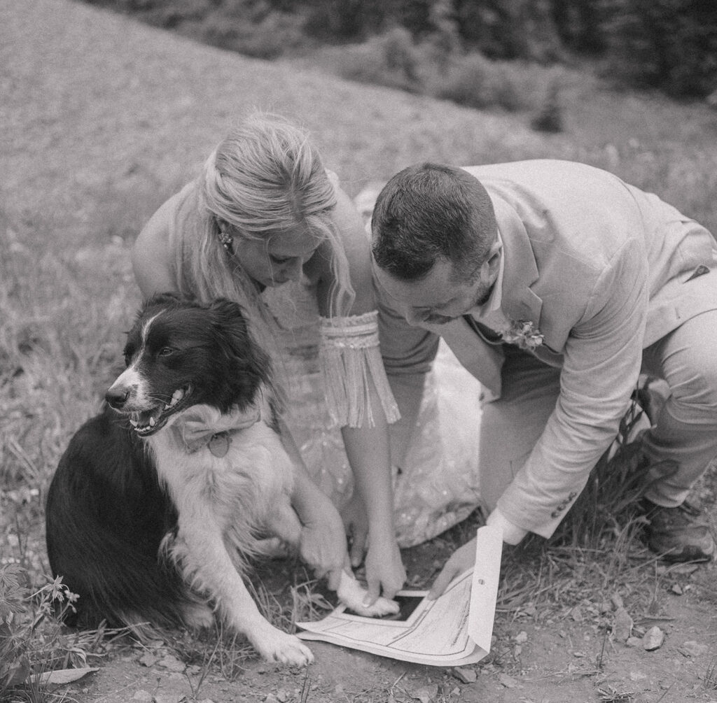 bride and groom are bent down with their dog's paw pressed against their marriage license. The dog is looking off into the distance smiling and the couple is staring down at the paw print on the marriage license. The photo is in black and white. Learn how to elope in colorado with more information on marriage licenses and regulations.
